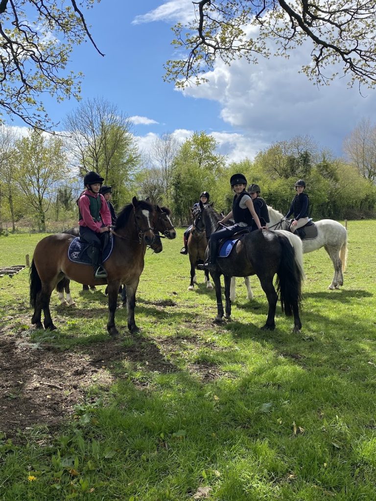 Racefield Stables