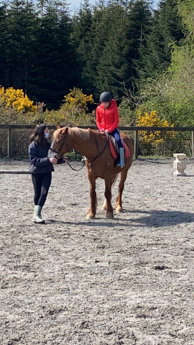 Wicklow Equestrian Centre
