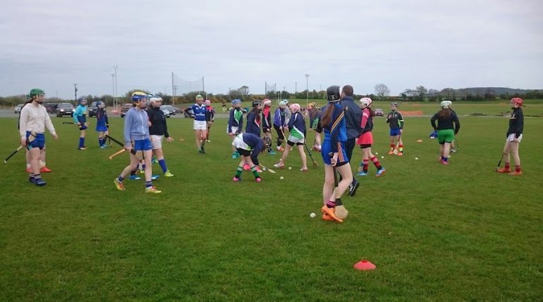 Wicklow GAA Centre of Excellence