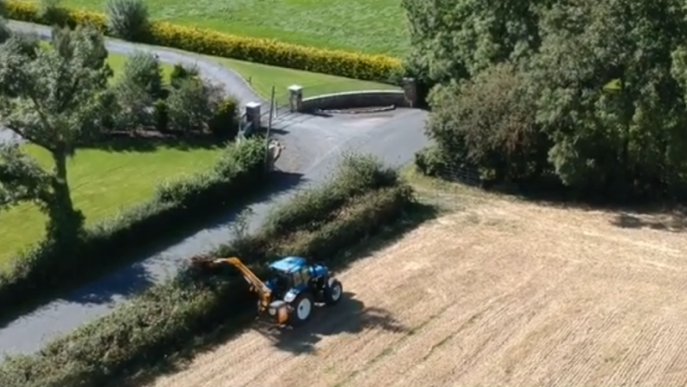 mccormack agri services
